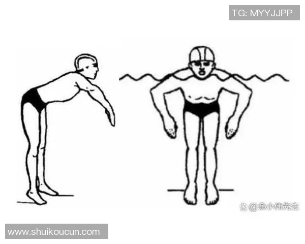 蛙泳技巧提升全攻略从基础动作到高级训练方法的全面解析