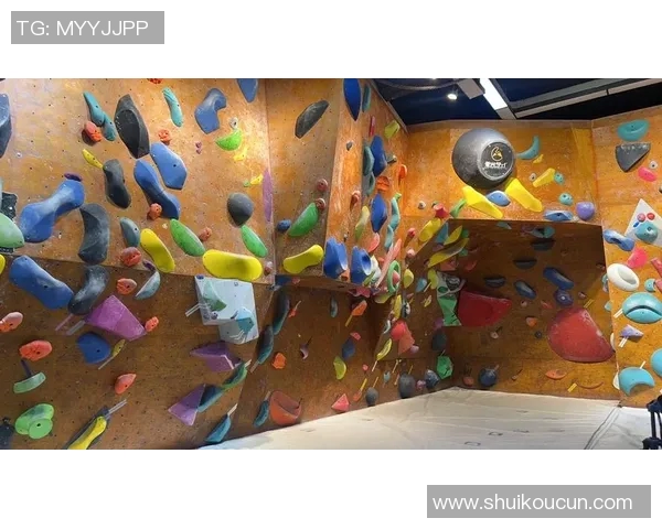 南京攀岩队个人能力提升之路热议攀岩运动的未来发展与挑战 南京攀岩队个人能力提升之路热议攀岩运动的未来发展与挑战