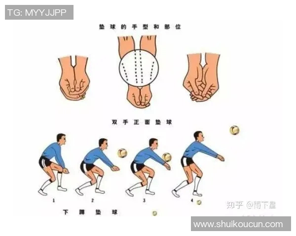 从零起步掌握排球技巧全面指南助你成为排球高手
