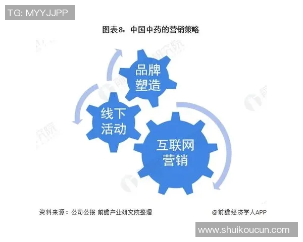 深入分析北京排球队的运营策略与市场推广模式