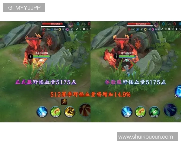 王者荣耀战术解析：深入剖析WE战队的进攻体系与策略运用